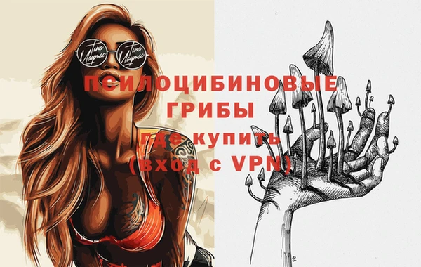 дурь Арсеньев
