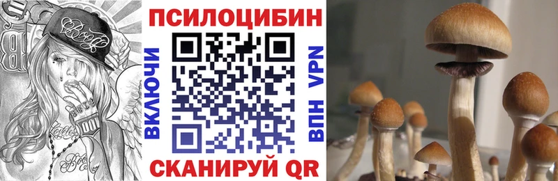 Псилоцибиновые грибы прущие грибы  хочу наркоту  blacksprut ссылка  Нововоронеж 